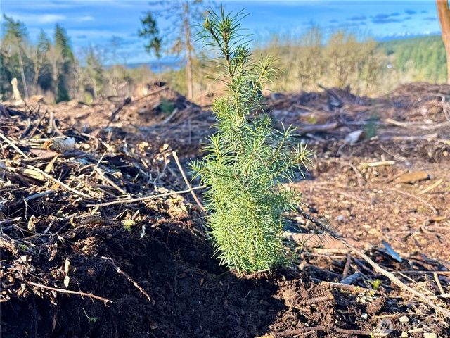 4319 183rd Avenue Ct SW, Longbranch, WA 98351