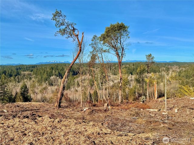 4319 183rd Avenue Ct SW, Longbranch, WA 98351