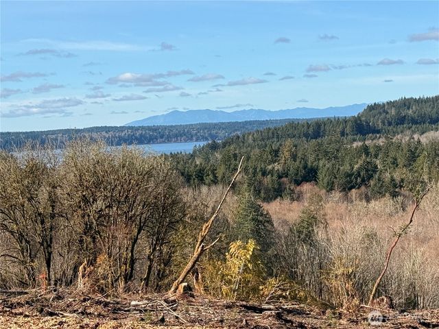 4319 183rd Avenue Ct SW, Longbranch, WA 98351