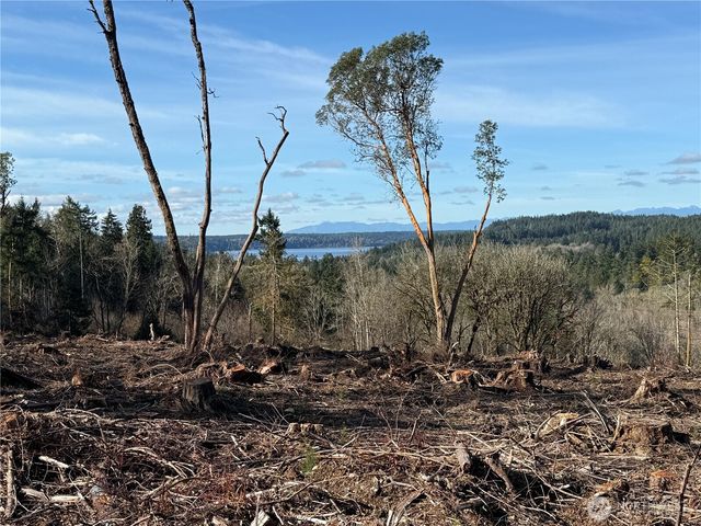 4319 183rd Avenue Ct SW, Longbranch, WA 98351