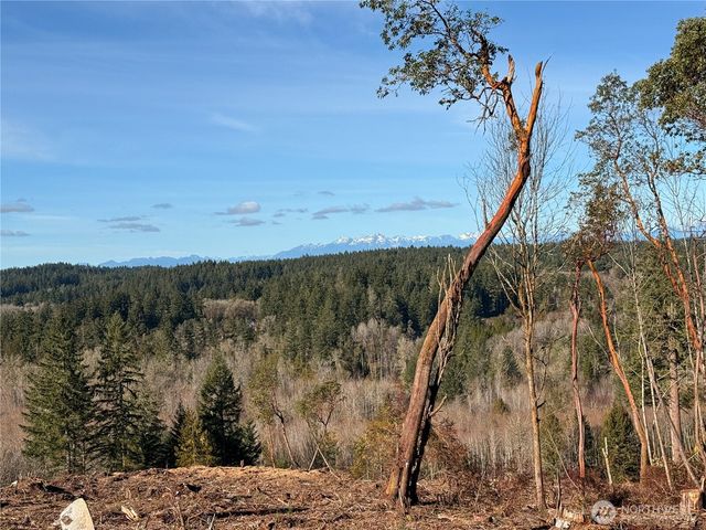 4319 183rd Avenue Ct SW, Longbranch, WA 98351