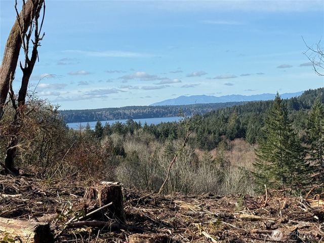 4319 183rd Avenue Ct SW, Longbranch, WA 98351