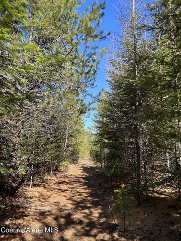 NNA Blacktail Rd, Cocolalla, ID 83813