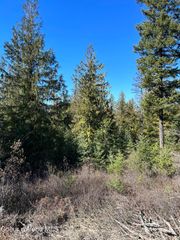 NNA Blacktail Rd, Cocolalla, ID 83813