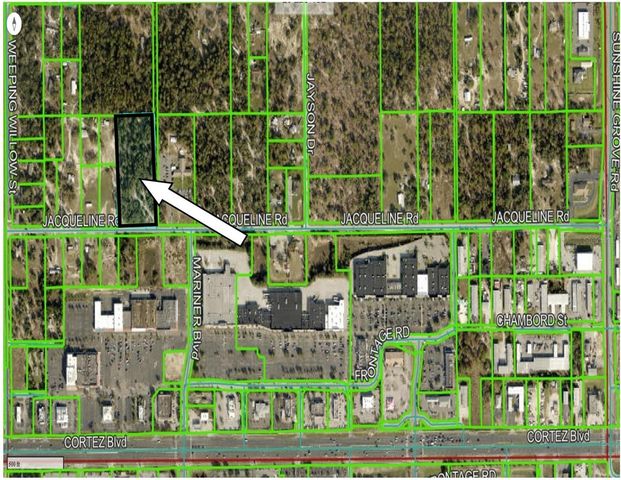 00000 JACQUELINE ROAD, Brooksville, FL 34613