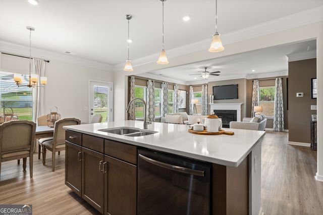 1423 Trellis Court LOT 10, Hampton, GA 30228