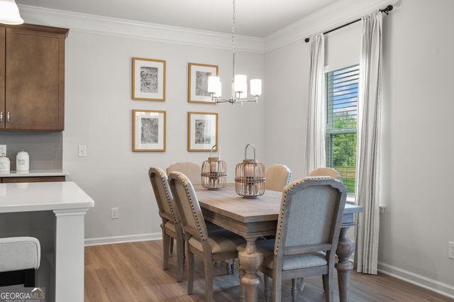 1423 Trellis Court LOT 10, Hampton, GA 30228