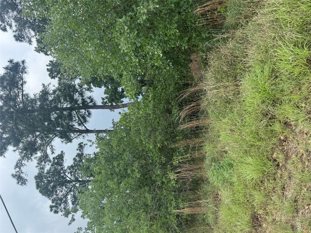 Lot 1612 Kaanapali LN, Bastrop, TX 78602