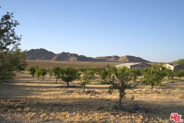 10424 Santa Fe Fire Road, Lucerne Valley, CA 92356