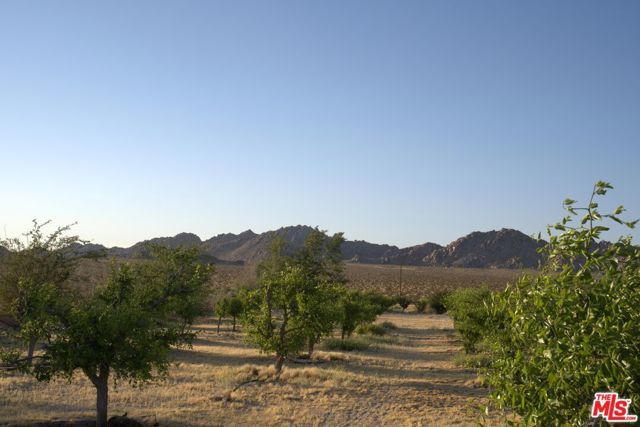 10424 Santa Fe Fire Road, Lucerne Valley, CA 92356