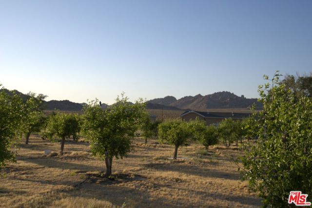 10424 Santa Fe Fire Road, Lucerne Valley, CA 92356