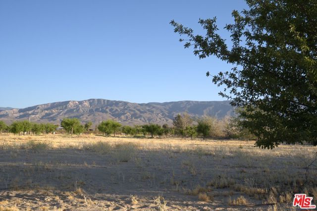 10424 Santa Fe Fire Road, Lucerne Valley, CA 92356