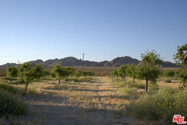 10424 Santa Fe Fire Road, Lucerne Valley, CA 92356