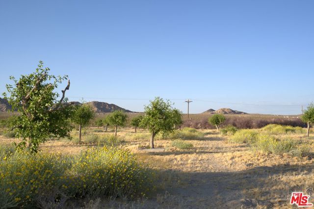 10424 Santa Fe Fire Road, Lucerne Valley, CA 92356