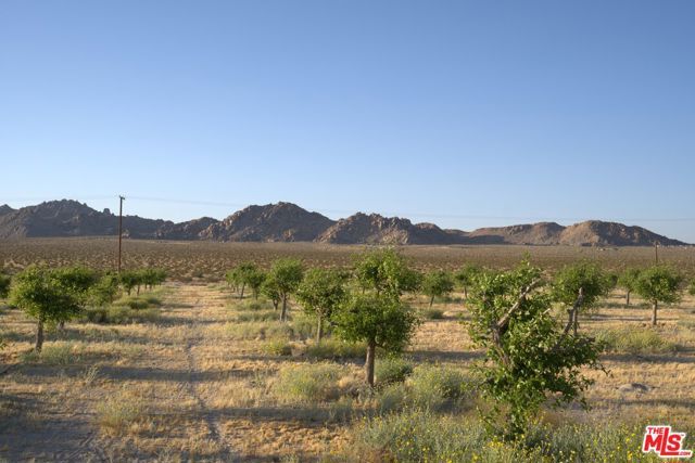 10424 Santa Fe Fire Road, Lucerne Valley, CA 92356