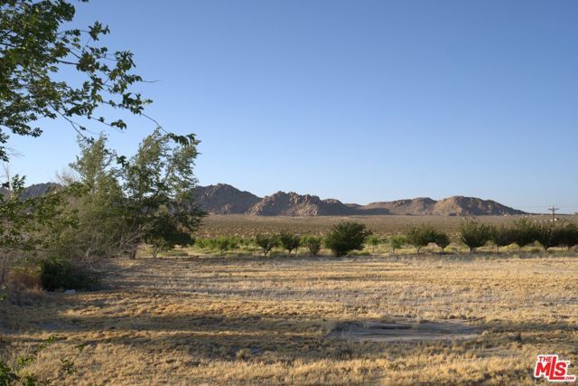 10424 Santa Fe Fire Road, Lucerne Valley, CA 92356
