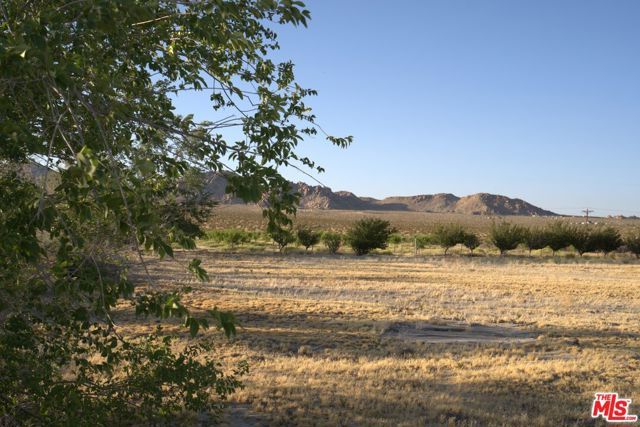10424 Santa Fe Fire Road, Lucerne Valley, CA 92356