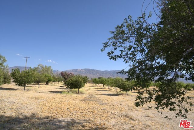 10424 Santa Fe Fire Road, Lucerne Valley, CA 92356