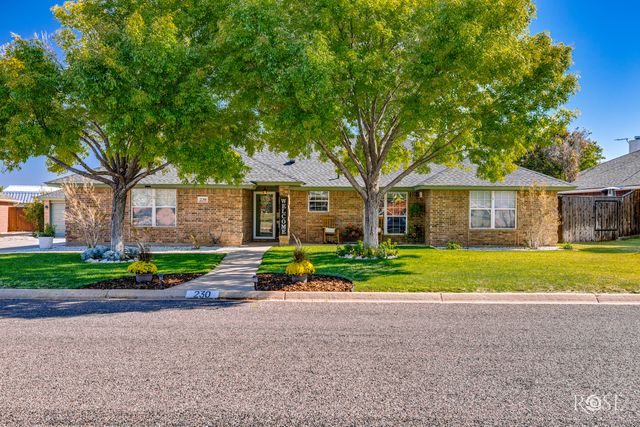230 Burlington Road, San Angelo, TX 76901