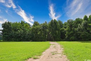 TBD Spring Branch Rd., Nichols, SC 29581