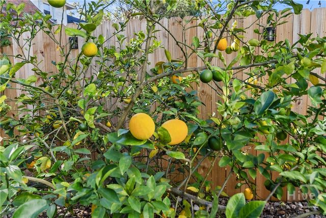 917 E 39th Street, Savannah, GA 31401