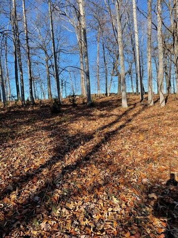 Lot 49 Lake View Pt, Glade Hill, VA 24092