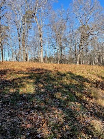 Lot 49 Lake View Pt, Glade Hill, VA 24092