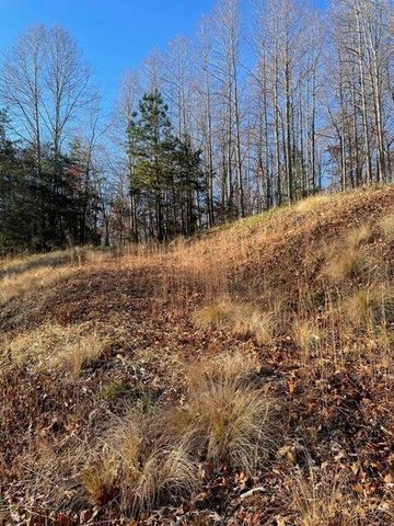 Lot 49 Lake View Pt, Glade Hill, VA 24092