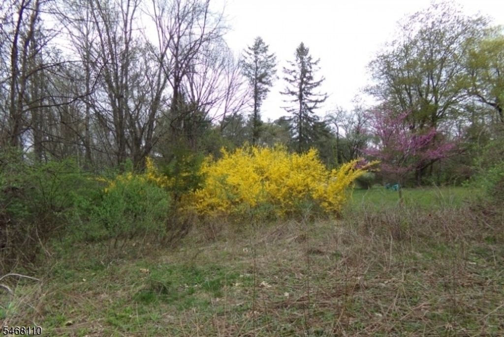 8 Hill Rd, Montague Twp., NJ 07827 — exterior