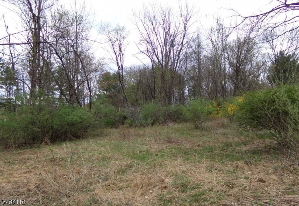 8 Hill Rd, Montague Twp., NJ 07827 — photo 2
