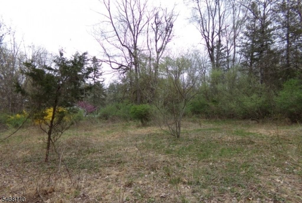 8 Hill Rd, Montague Twp., NJ 07827 — photo 3