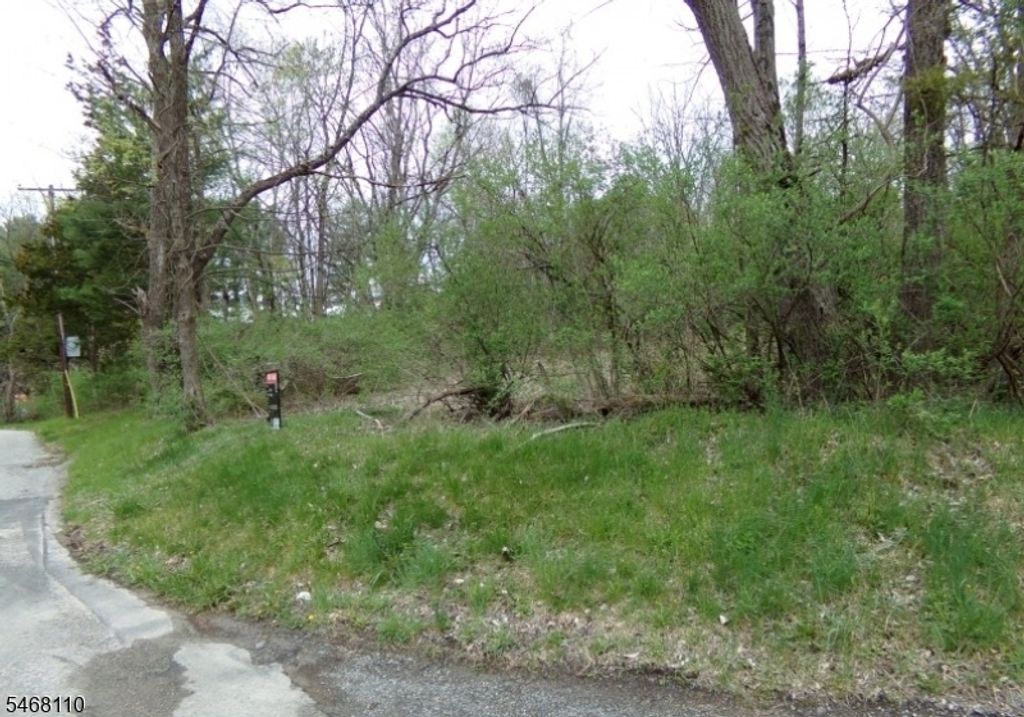 8 Hill Rd, Montague Twp., NJ 07827 — photo 4