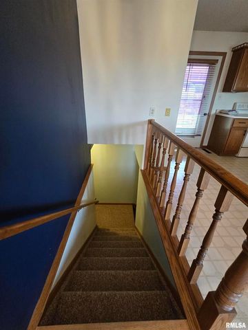 301 4TH Street 4, Fulton, IL 61252