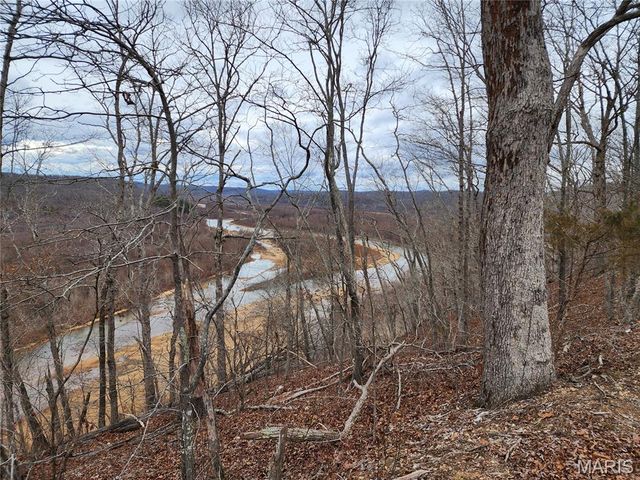 333 AA Hwy, Piedmont, MO 63957