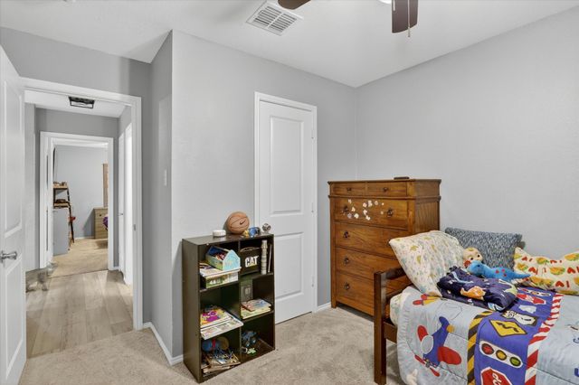 316 Frio Pass Trail, Fort Worth, TX 76052