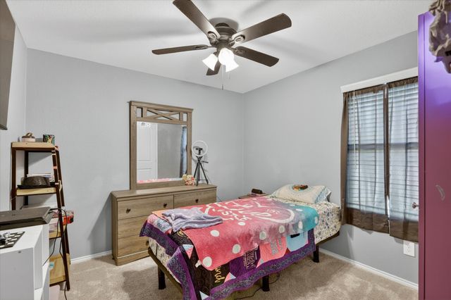 316 Frio Pass Trail, Fort Worth, TX 76052