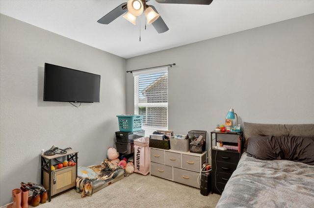 316 Frio Pass Trail, Fort Worth, TX 76052