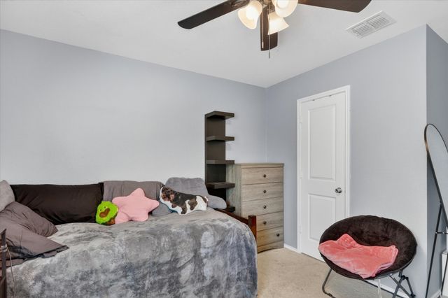 316 Frio Pass Trail, Fort Worth, TX 76052