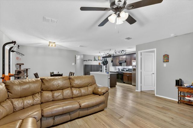 316 Frio Pass Trail, Fort Worth, TX 76052