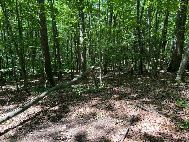 256 E Main Street, Hampstead, NH 03826