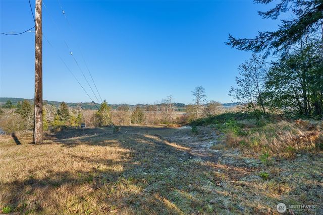 0 X Morris Street, Raymond, WA 98577