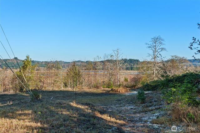 0 X Morris Street, Raymond, WA 98577