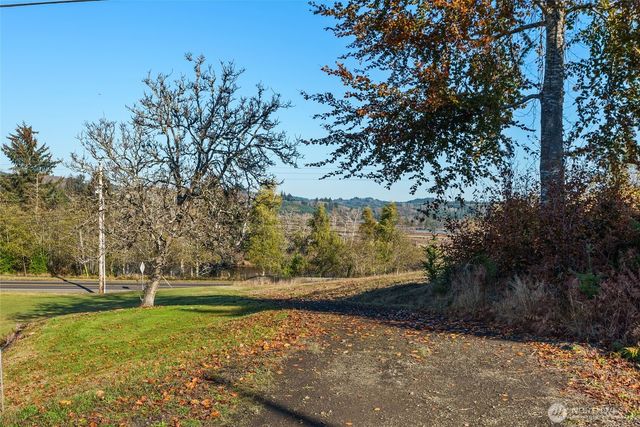 0 X Morris Street, Raymond, WA 98577