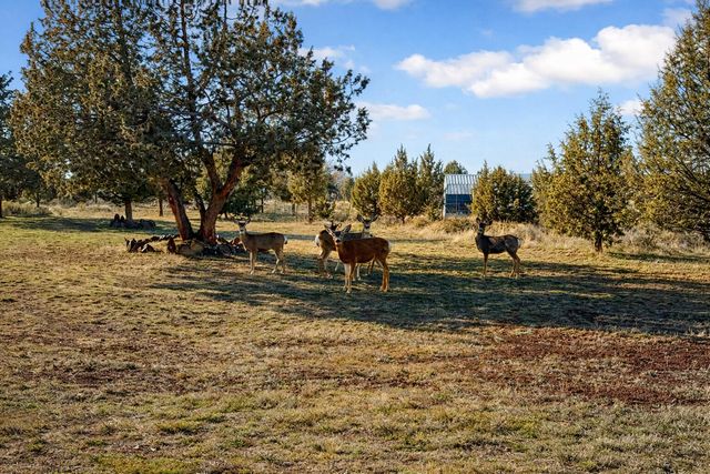 14734 SW Peninsula Drive, Terrebonne, OR 97760