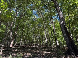 0 Moss Patch Trail, Jasper, GA 30143