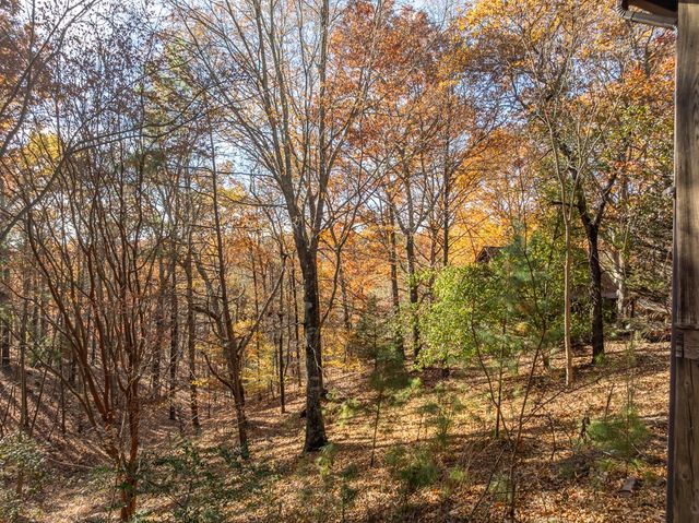 2515 Camp Branch Road, Ellijay, GA 30540