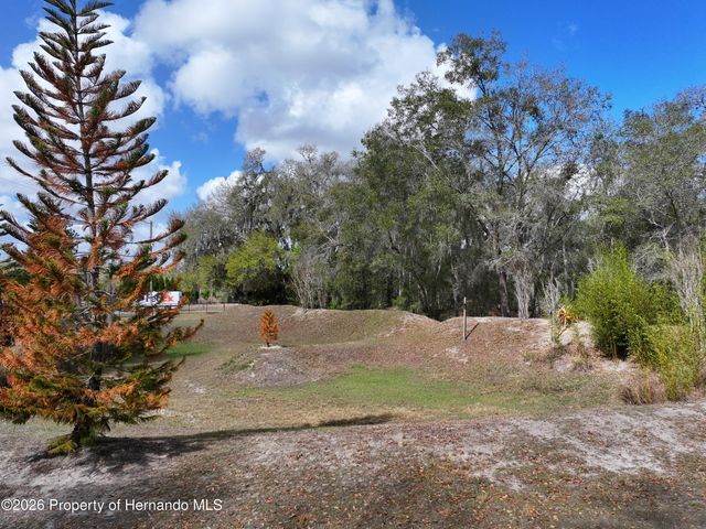 23305 June Bug Trail, Brooksville, FL 34602