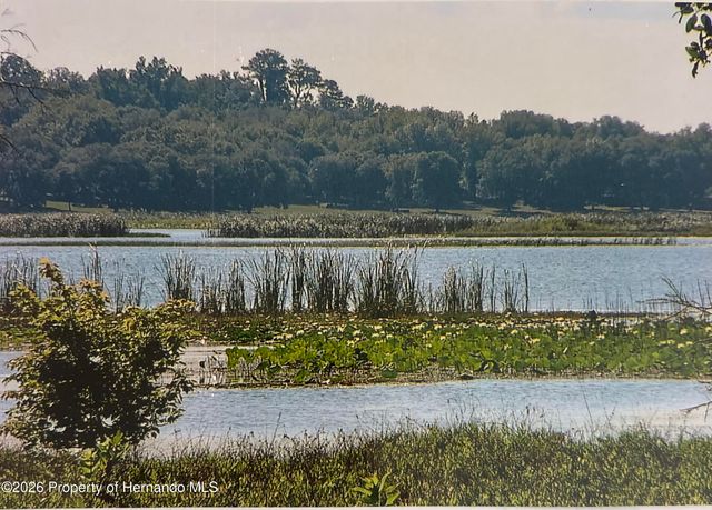 23305 June Bug Trail, Brooksville, FL 34602