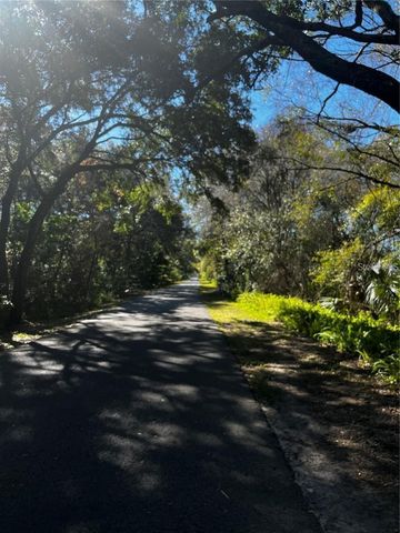 310 SKYTRAIL, Tampa, FL 33625