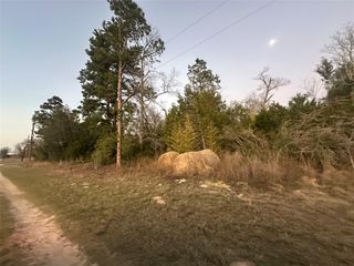 3AC County Road 443, Marquez, TX 77865